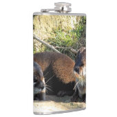 FLASQUES LOUTRES (Droite)