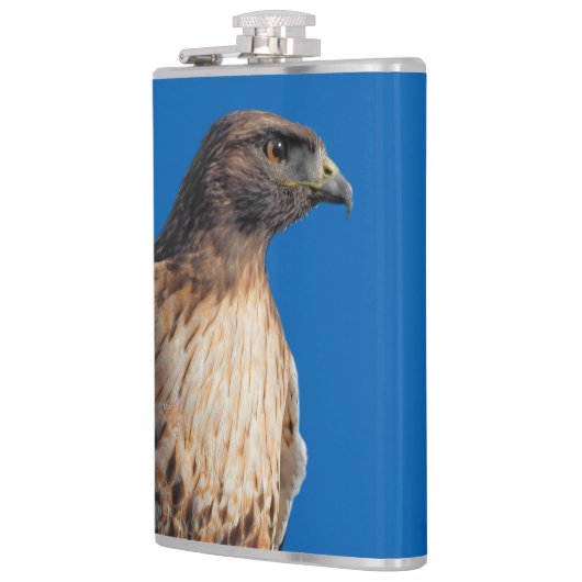 Flasques Magnifique Buse à queue rouge au soleil (Gauche)