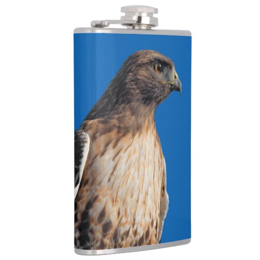 Flasques Magnifique Buse à queue rouge au soleil (Droite)