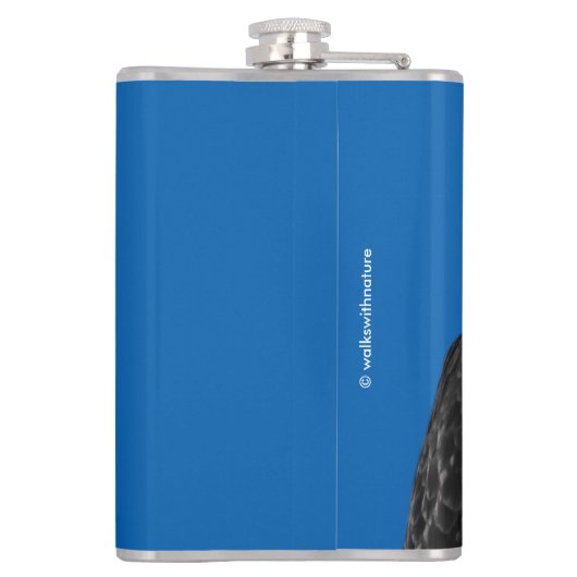 Flasques Magnifique Buse à queue rouge au soleil (Dos)