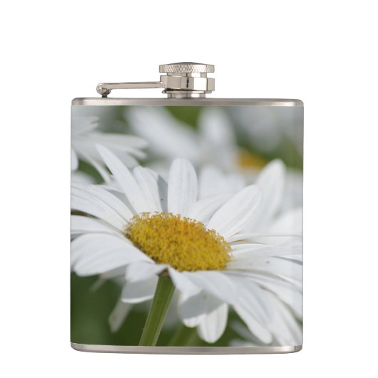 Flasques Marguerite (Devant)