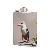 Flasques Martin-pêcheur à tête grise (Gauche)