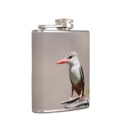 Flasques Martin-pêcheur à tête grise (Droite)