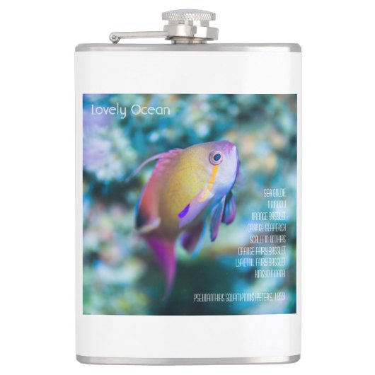 Flasques Mer doré, poisson mignon coloré (Devant)