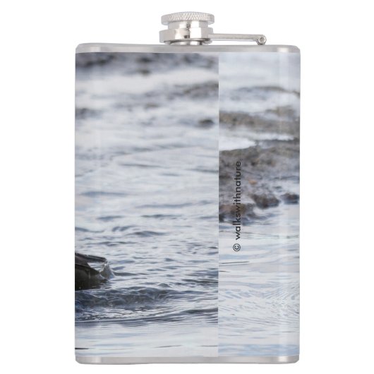 Flasques Merganseur à capuchon en mouvement (Dos)