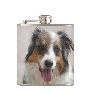 Flasques merle aussie