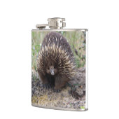 Flasques Mignonne Echidna d'Australie (Gauche)