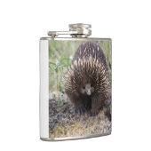 Flasques Mignonne Echidna d'Australie (Droite)