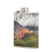 Flasques Montagne polychrome, Denali NP, Alaska (Gauche)