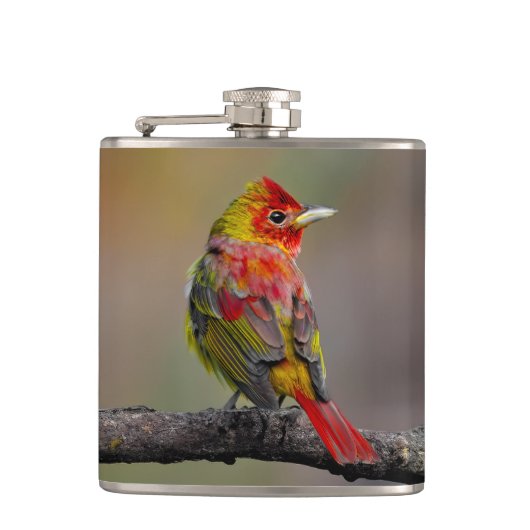 Flasques Moulage de Tangère - Photo originale (Devant)