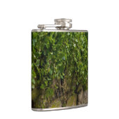 Flasques Mur D'Ivy (Droite)