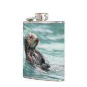 Flasques Observation de la Loupe de mer (Gauche)