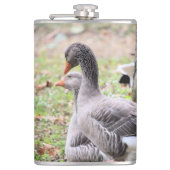 Flasques Oie (Devant)