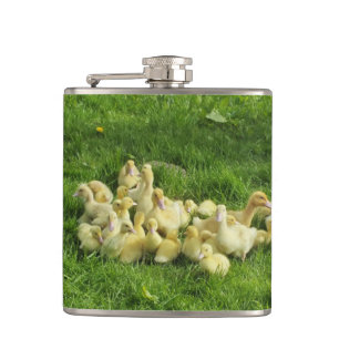 Flasques oiseau, canard, canard, jaune, nature, mignonette,