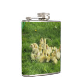 Flasques oiseau, canard, canard, jaune, nature, mignonette, (Droite)