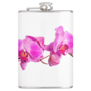 Flasques Orchidée