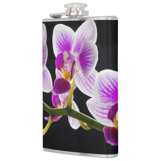 Flasques Orchidée blanche et violette (Gauche)