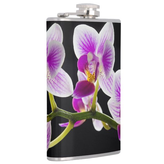 Flasques Orchidée blanche et violette (Droite)
