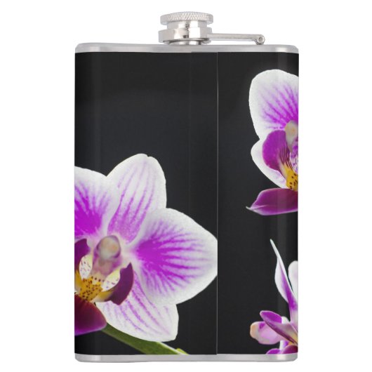 Flasques Orchidée blanche et violette (Dos)