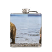 Flasques Ours brun côtier (Dos)