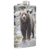 Flasques Ours kodiak (Droite)