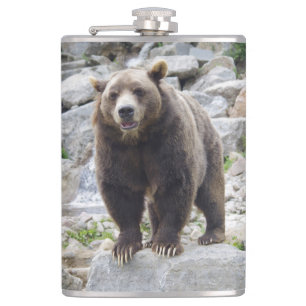 Flasques Ours kodiak