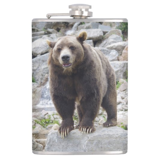 Flasques Ours kodiak (Devant)
