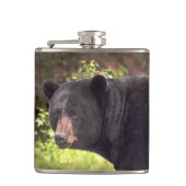 Flasques Ours noir (Devant)