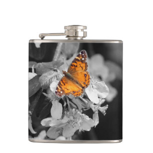 Flasques Papillon Américain Lady Sur Fleur Pot À Boire
