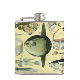 Flasques Pêche scientifique vintage