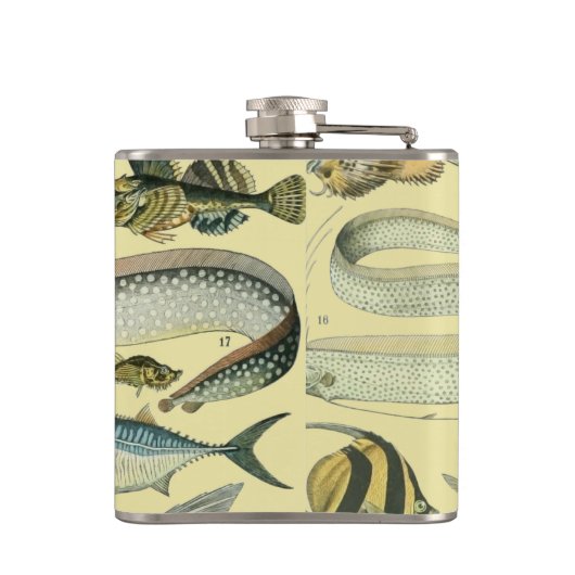 Flasques Pêche scientifique vintage (Dos)