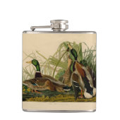 Flasques Peinture d'oiseaux de Mallard Duck Audubon (Devant)