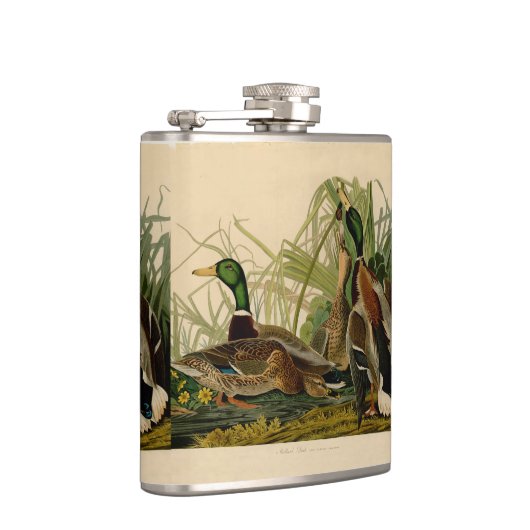 Flasques Peinture d'oiseaux de Mallard Duck Audubon (Droite)