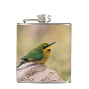 Flasques Petit Bee-Eater