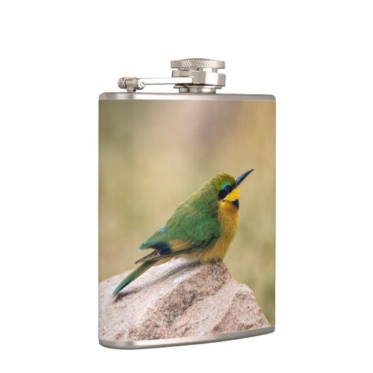 Flasques Petit Bee-Eater (Droite)