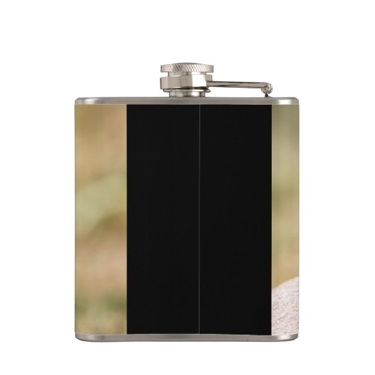 Flasques Petit Bee-Eater (Dos)