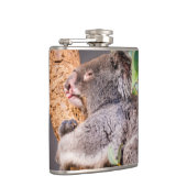 Flasques Petit koala doux (Droite)