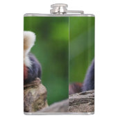 Flasques Petit panda roux (Dos)