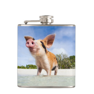 Flasques Petite porcelet