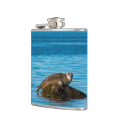 Flasques Phoque commun de l'Atlantique (Gauche)