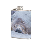 Flasques Phoque d'éléphant dormant (Gauche)