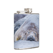 Flasques Phoque d'éléphant dormant (Droite)