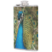 Flasques Photo de beau paon avec les plumes écartées (Gauche)