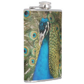 Flasques Photo de beau paon avec les plumes écartées (Droite)