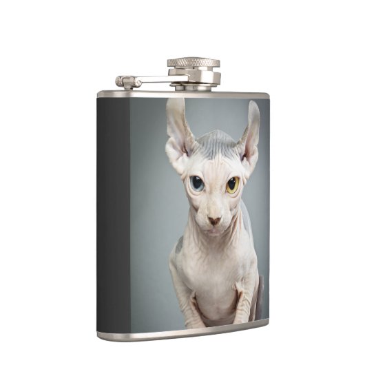 Flasques Photographie de chat de sphinx d'Elf (Droite)