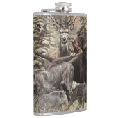 Flasques Pointer à poil dur allemand (Droite)
