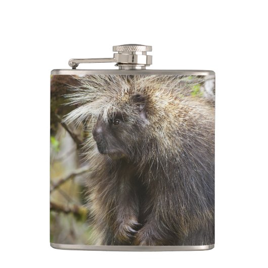 Flasques Porcupine déterminé (Devant)