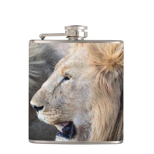 Flasques Portrait de Lion (Devant)