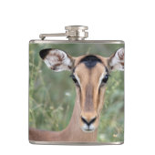 Flasques Portrait d'Impala (Devant)