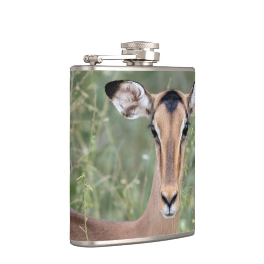 Flasques Portrait d'Impala (Droite)